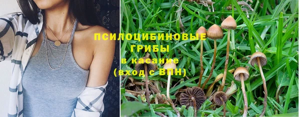 герыч Вязьма