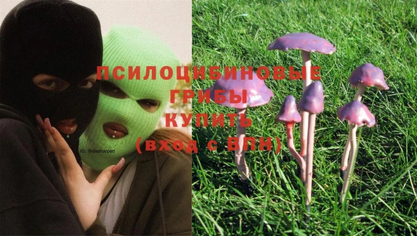 герыч Вязьма