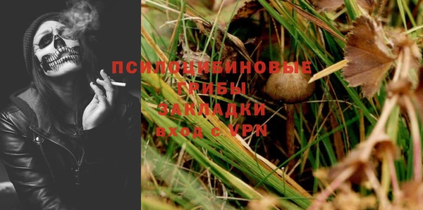 круглые Вяземский