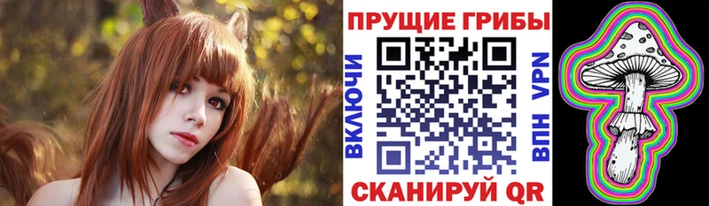 закладки  нарко площадка формула  Галлюциногенные грибы Cubensis  Городовиковск 